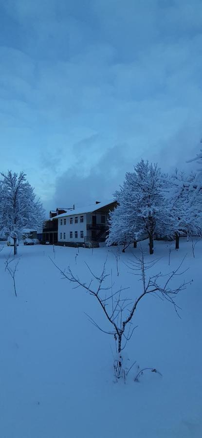 Guest House Tavaduri Mestia Esterno foto